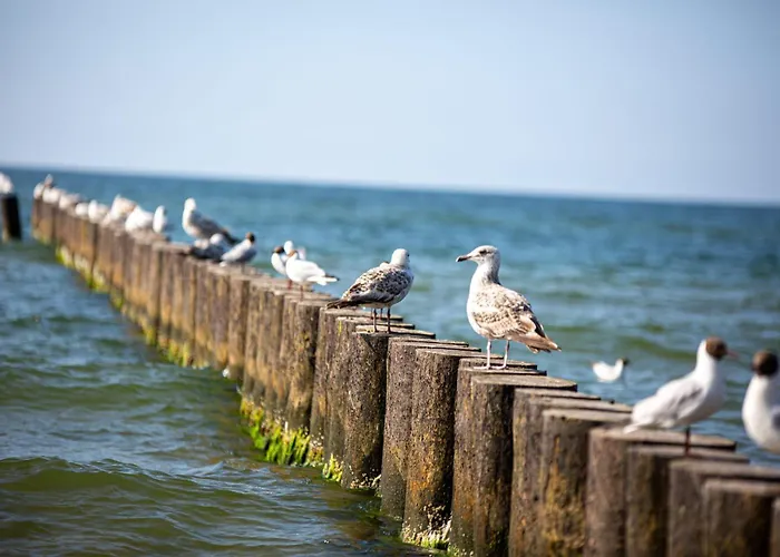 Aura Baltic Feriehus